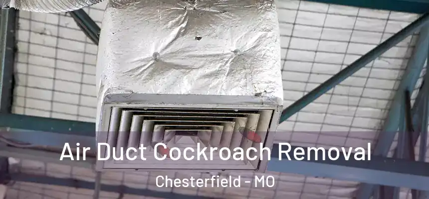  Air Duct Cockroach Removal Chesterfield - MO