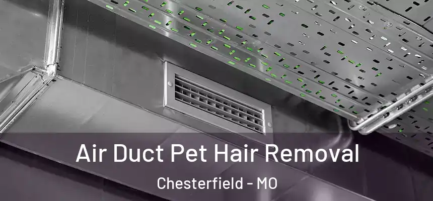 Air Duct Pet Hair Removal Chesterfield - MO