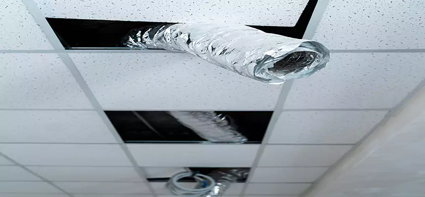 Affordable HVAC Sanitizing After Pest Removal in Chesterfield