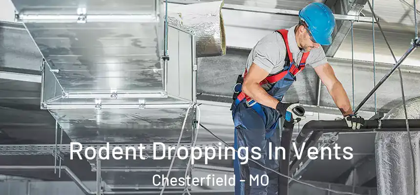 Rodent Droppings In Vents Chesterfield - MO