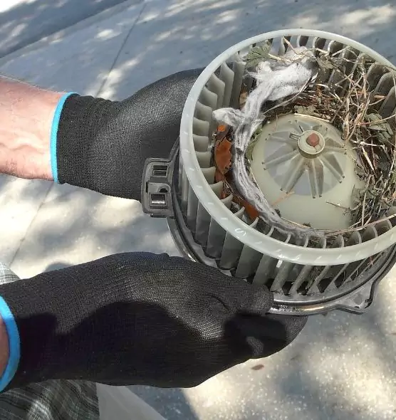 About Air Duct Rat Removal in Chesterfield, MO