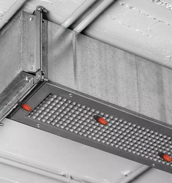 Affordable Insect Removal from Air Ducts in Chesterfield, MO