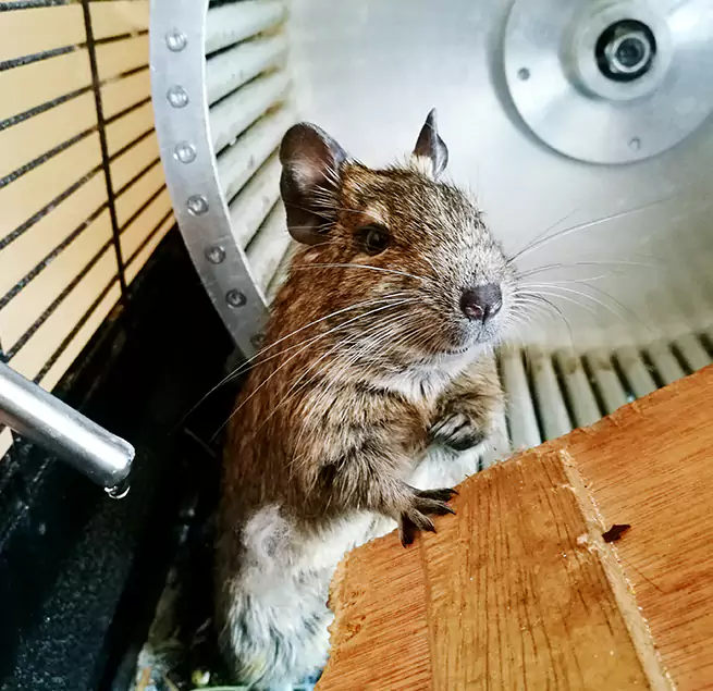 Why Homeowners & Businesses Trust Us Chesterfield, MO?